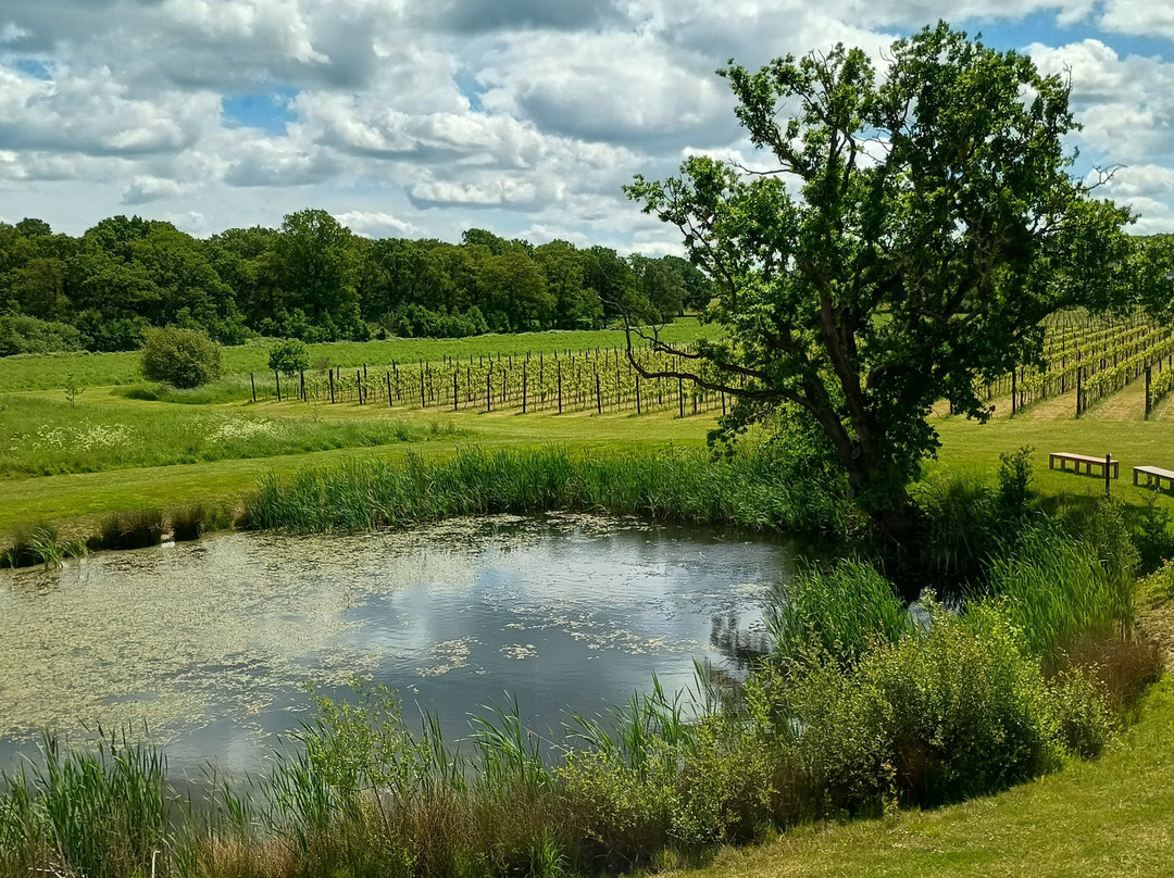 Balfour Winery景点图片