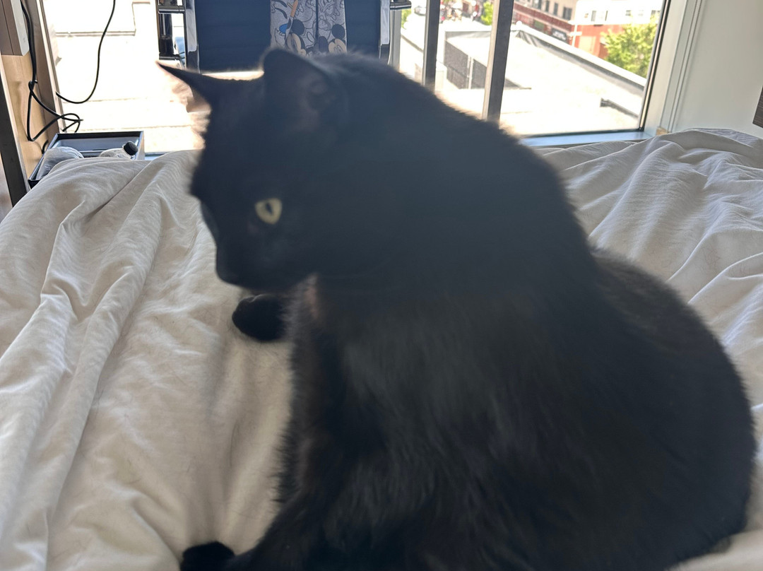 维特罗酒店主图