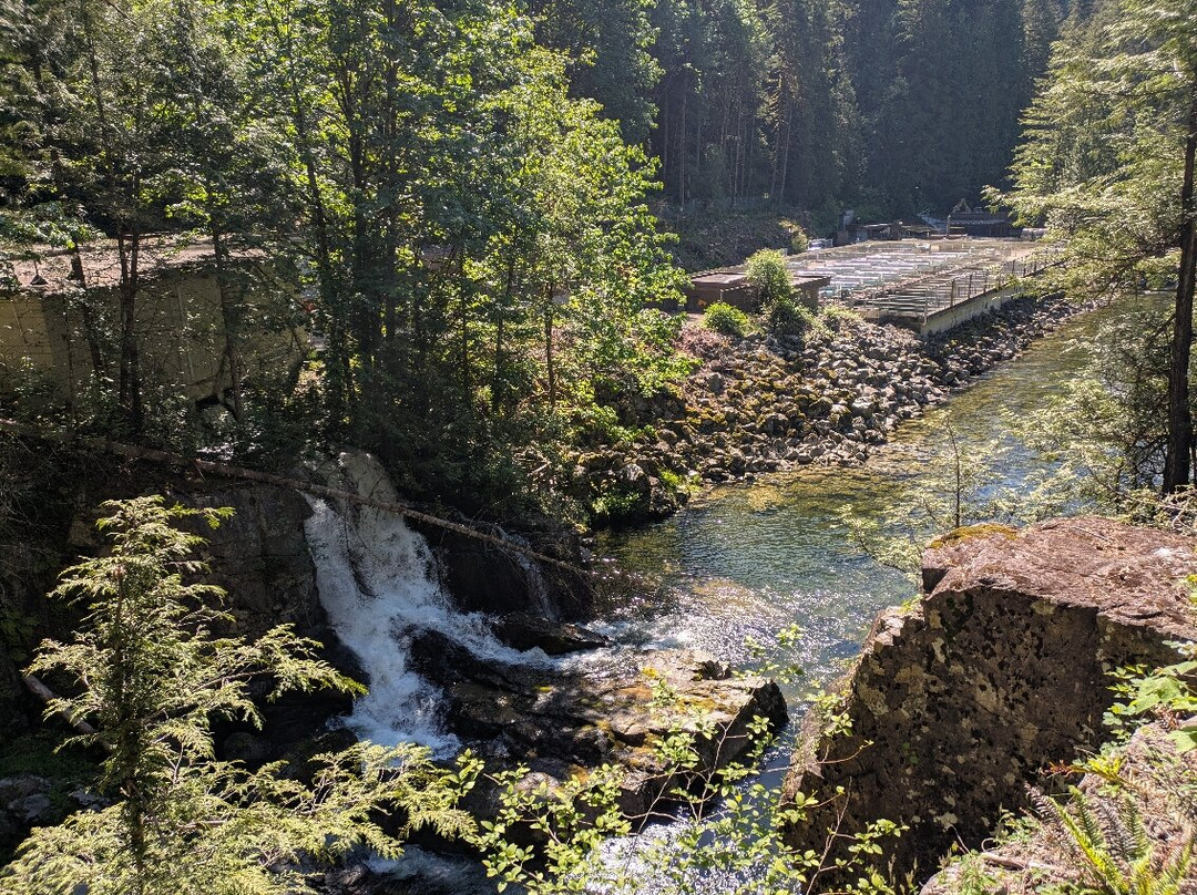 Capilano River Regional Park-北温哥华必去景点