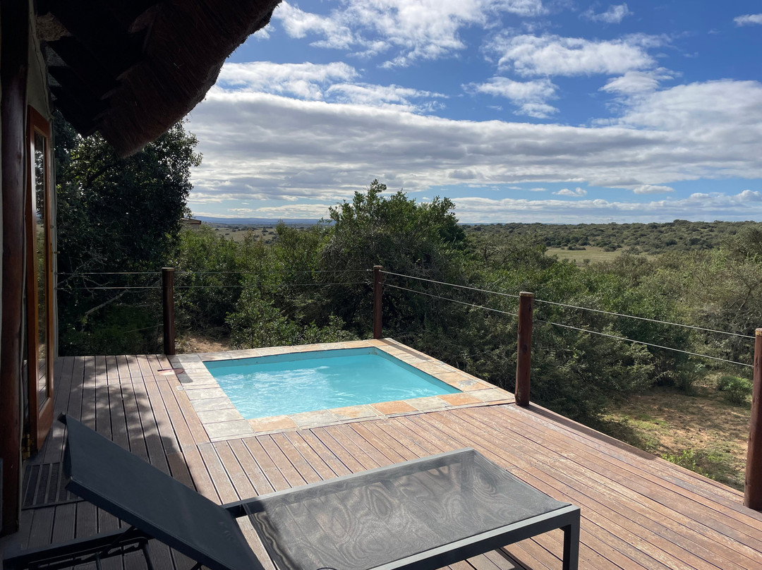 Bush Lodge Amakhala主图