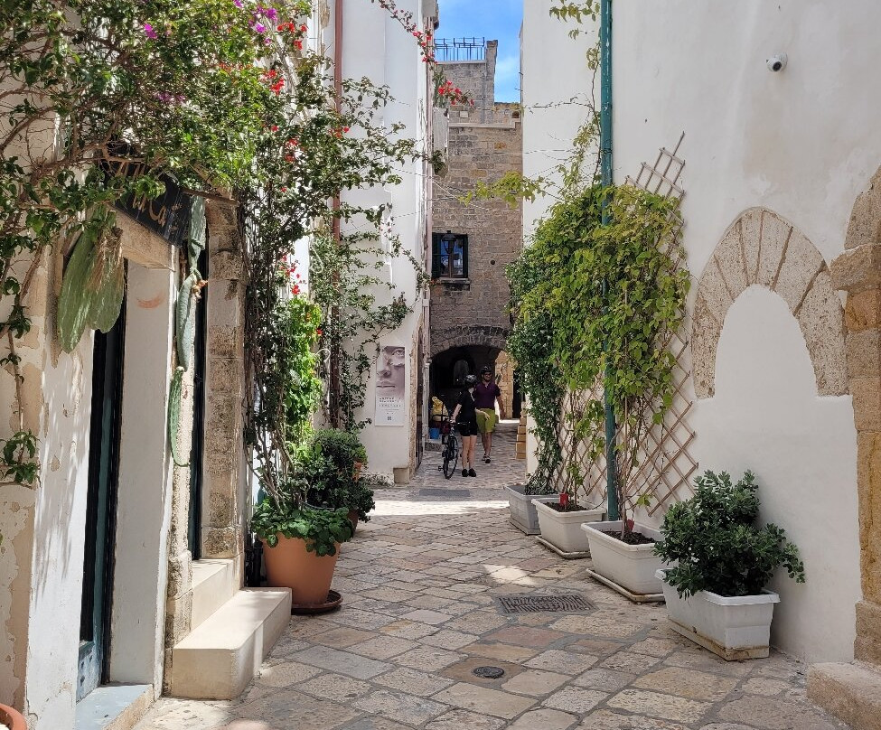 Experience Amalfi Coast-阿杰罗拉必去景点