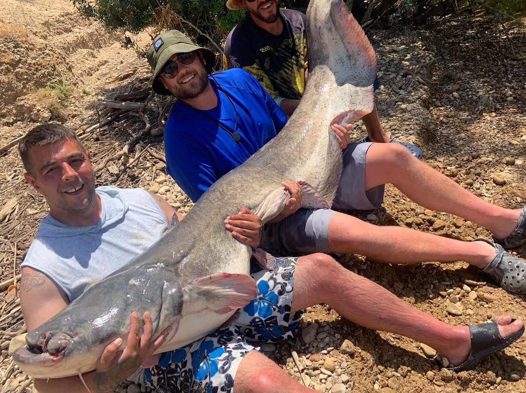 River Ebro Catfishing Holidays景点图片