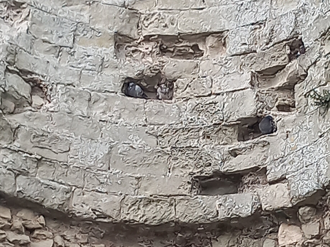 Pevensey Castle景点图片