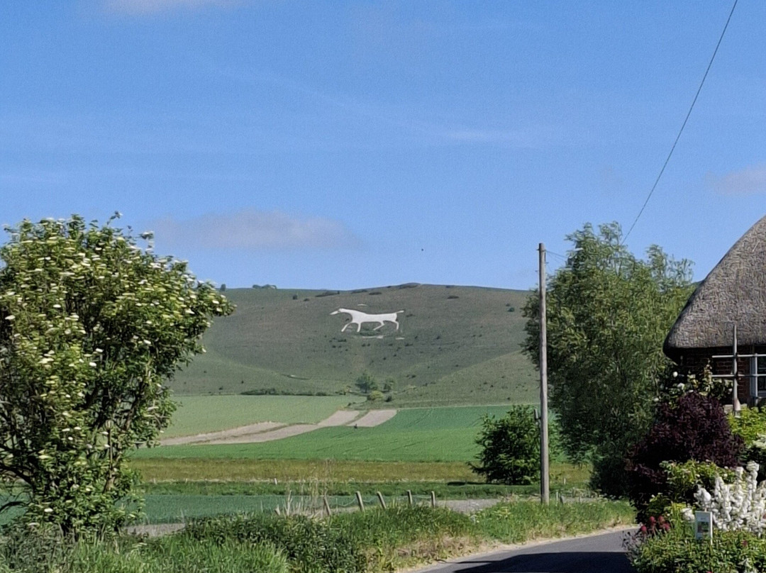 Westbury White Horse景点图片