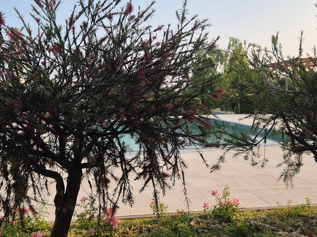 Velanera Hotel & Restaurant主图