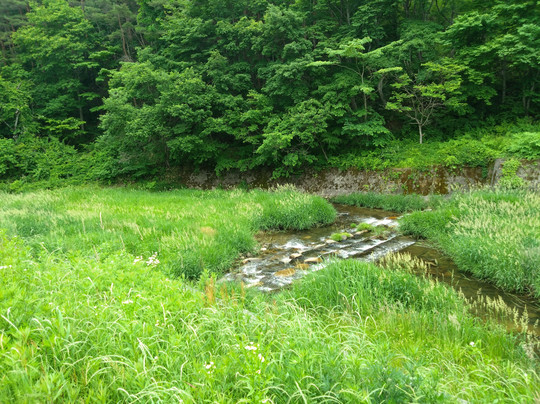 Fukko Koryu-kan Azeria-双叶郡必去景点