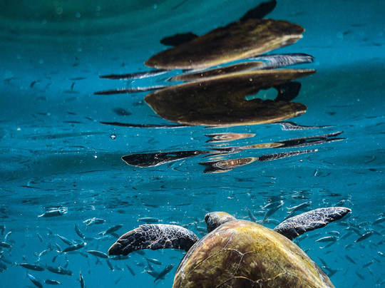 Divertriptour-阿拉伊阿尔港必去景点