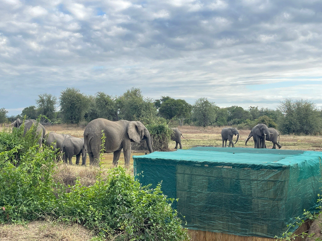 Mopani Safari Lodge主图