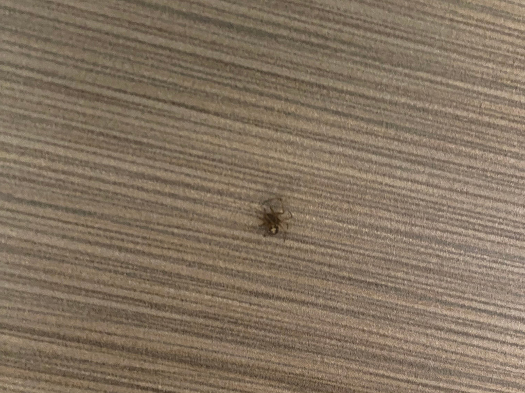 Howard Johnson by Wyndham Scott Lafayette主图