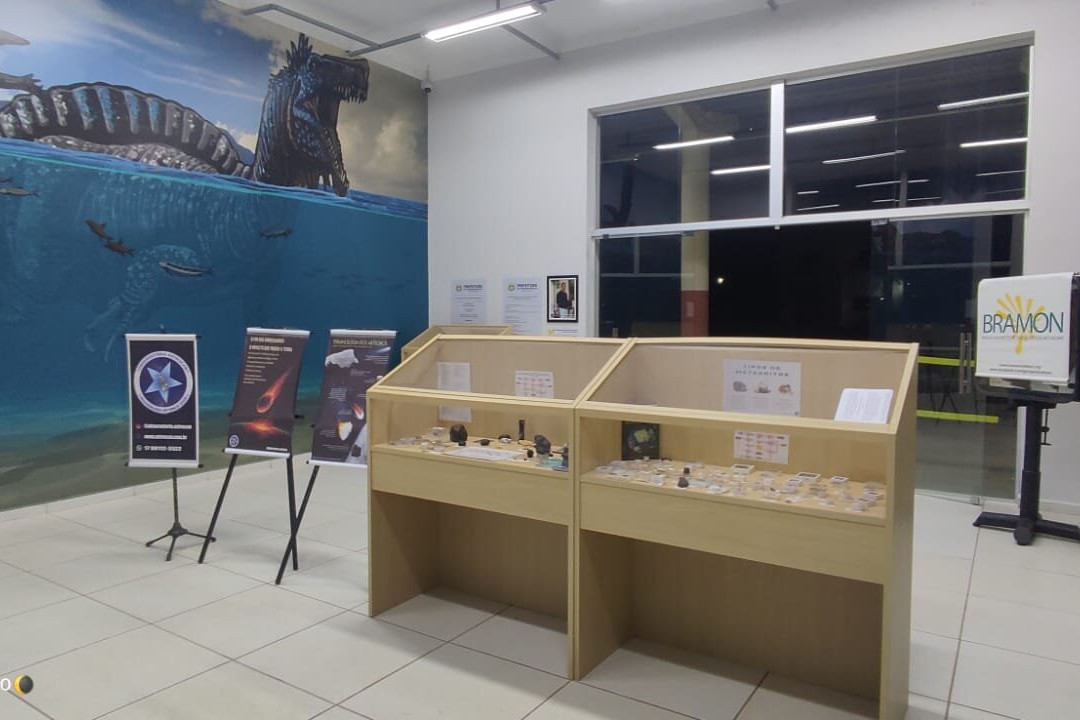 Museu de Paleontologia de Fernandópolis景点图片