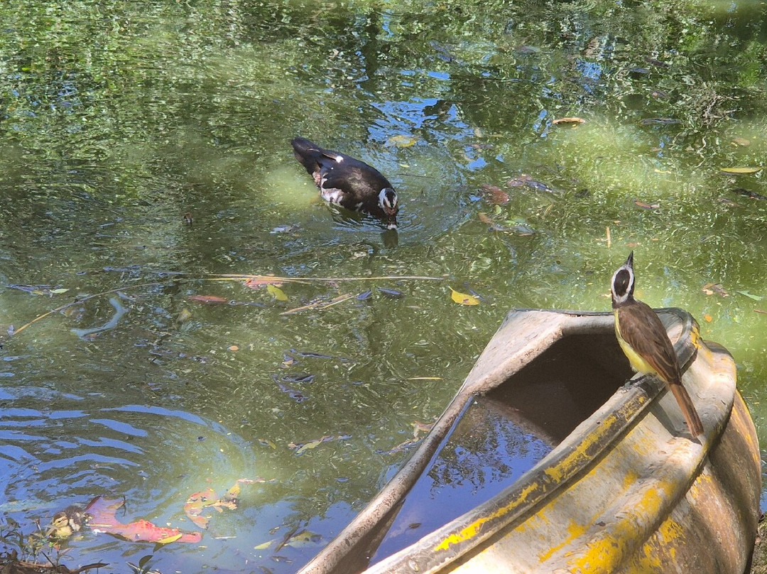 Jardín Botánico de Medellín-麦德林必去景点