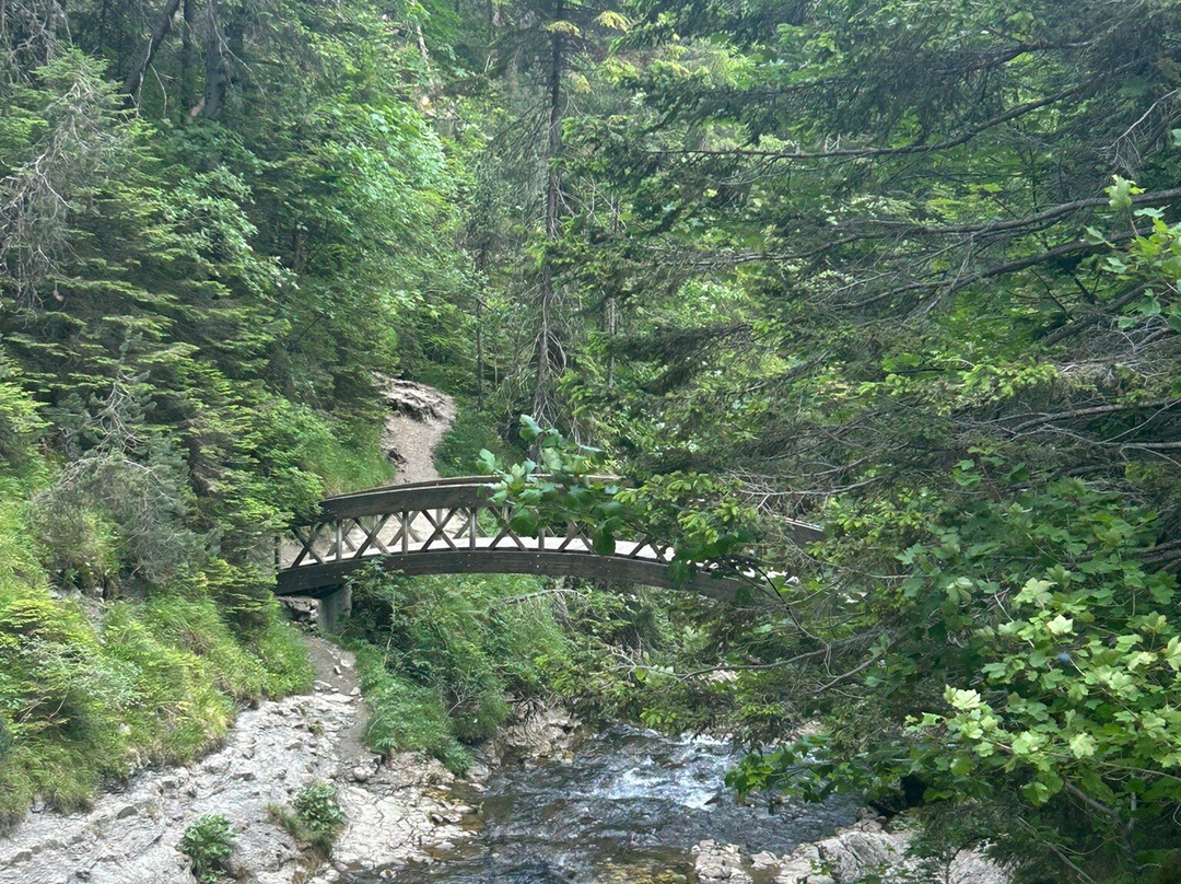 Site Naturel du Cirque de Saint-Même-Saint-Pierre-d'Entremont必去景点