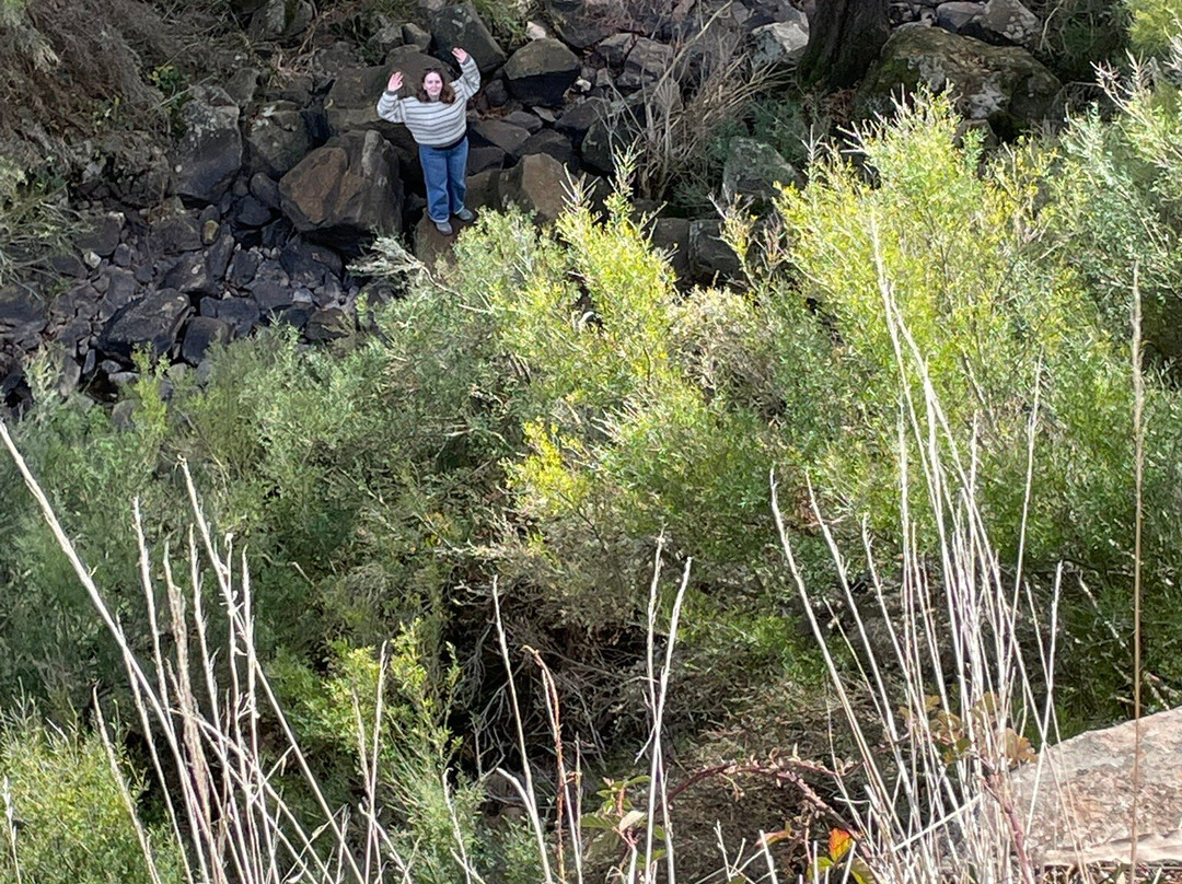 Loddon Falls-Glenlyon必去景点