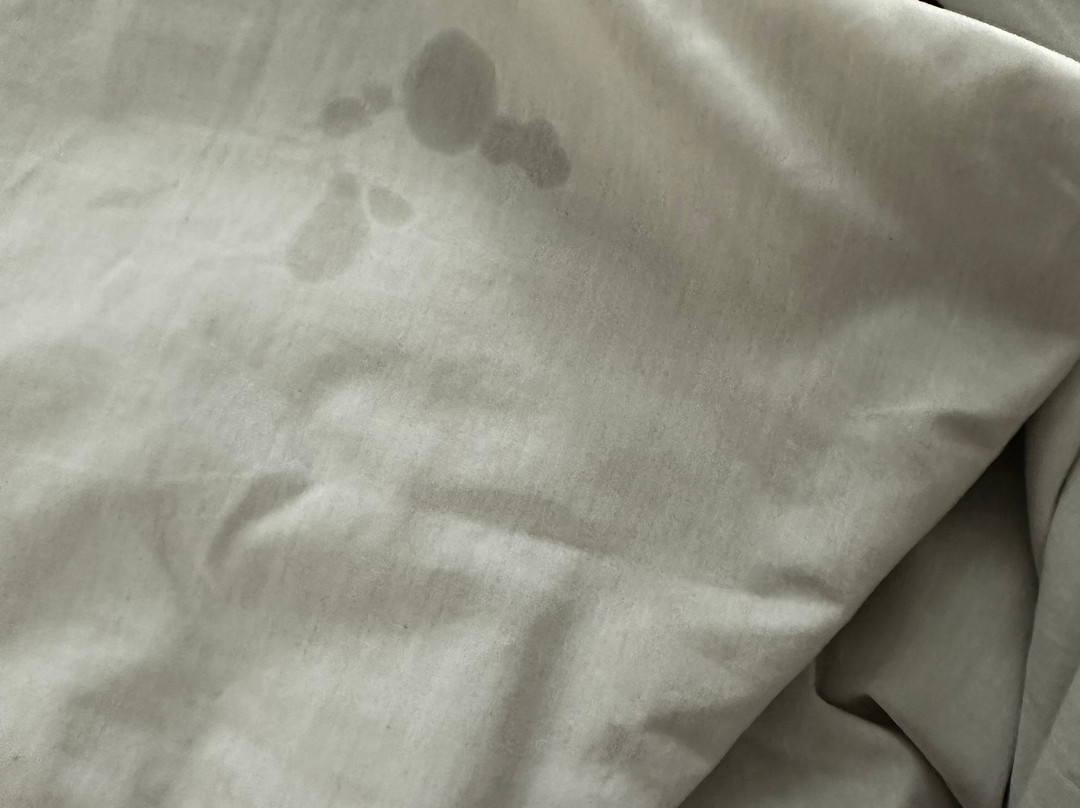 Super 8 by Wyndham Roseville/Detroit Area主图