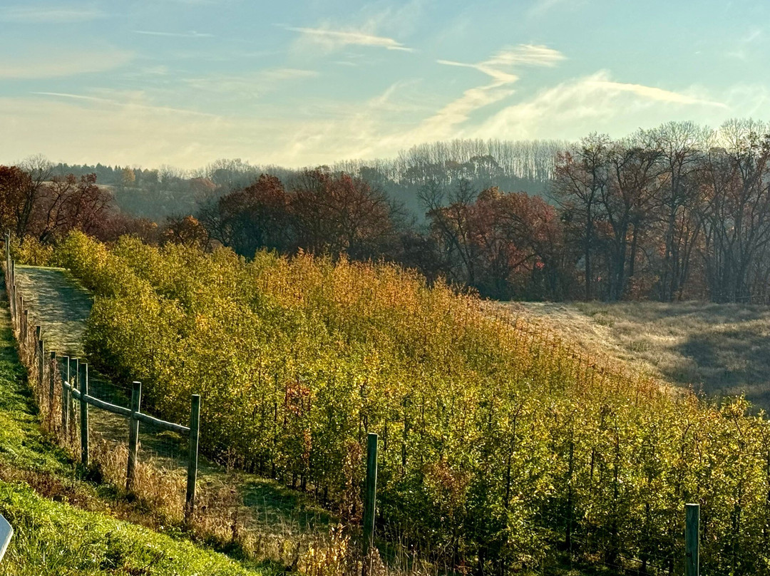Sunrise Orchards-Gays Mills必去景点