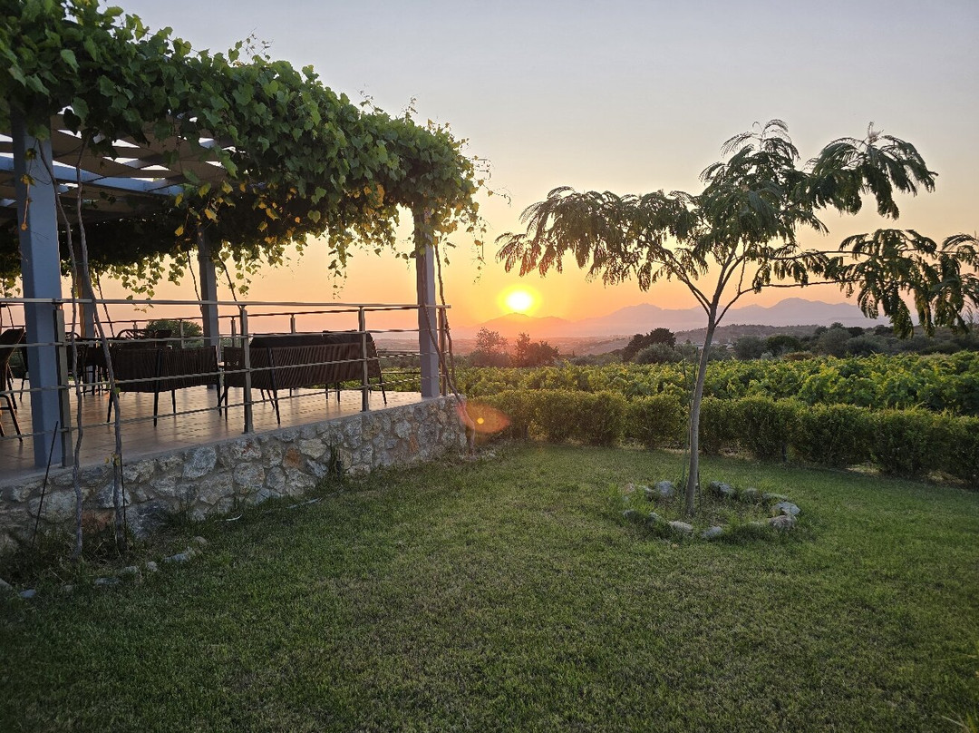 Papakonstantinou Winery-Pili必去景点