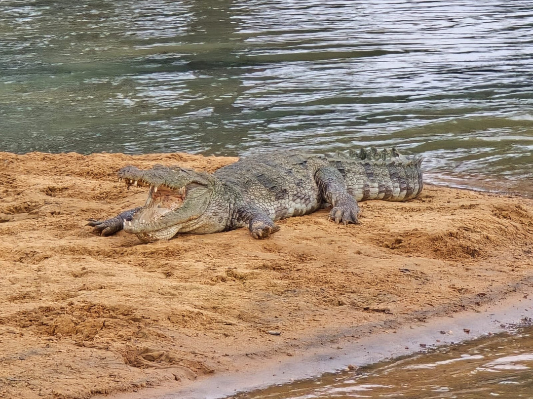 Ceylon Culture And Nature-Dehiwala必去景点