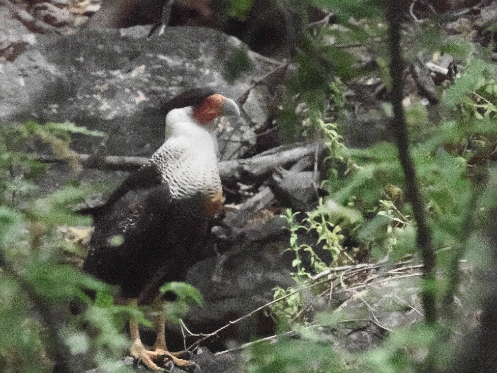 Washington-Slagbaai National Park Visitor Center Museum-Washington-Slagbaai National Park必去景点