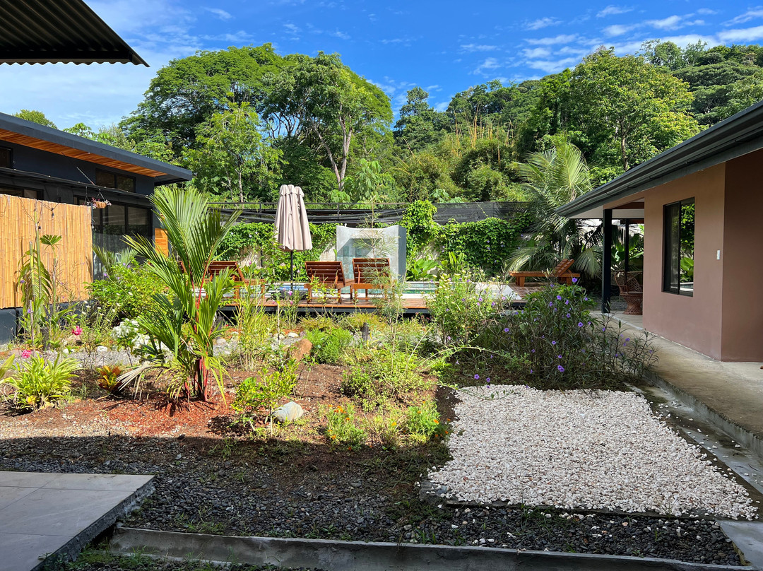 Playa Grande Shuttle & Tours-大滩必去景点