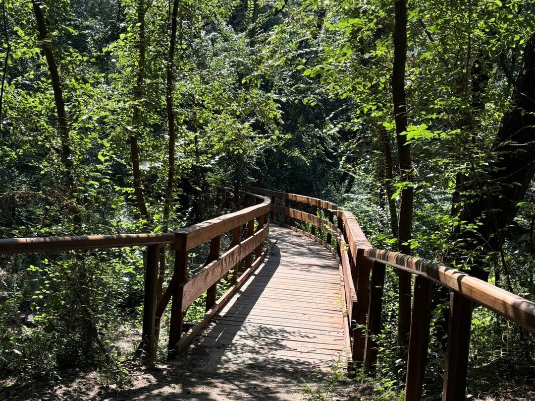 Giardino Botanico Litoraneo di Porto Caleri-罗索利纳必去景点