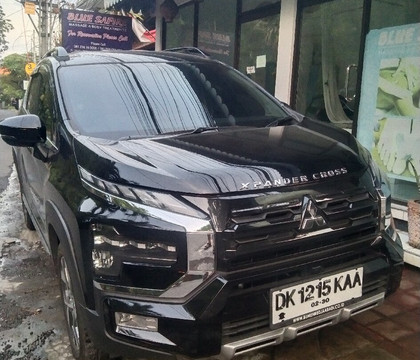 I Made' Wijaya Private Bali Tours and Transport Service-登巴萨必去景点