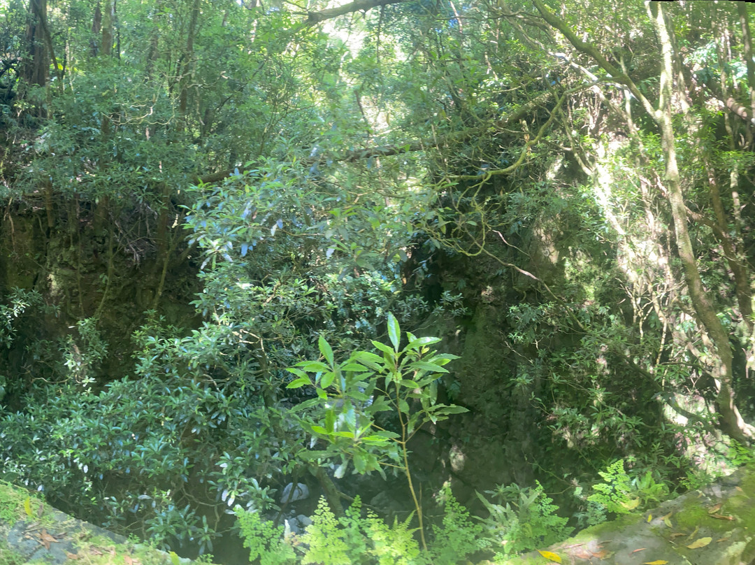 Azores Adventure Islands-Sete Cidades必去景点