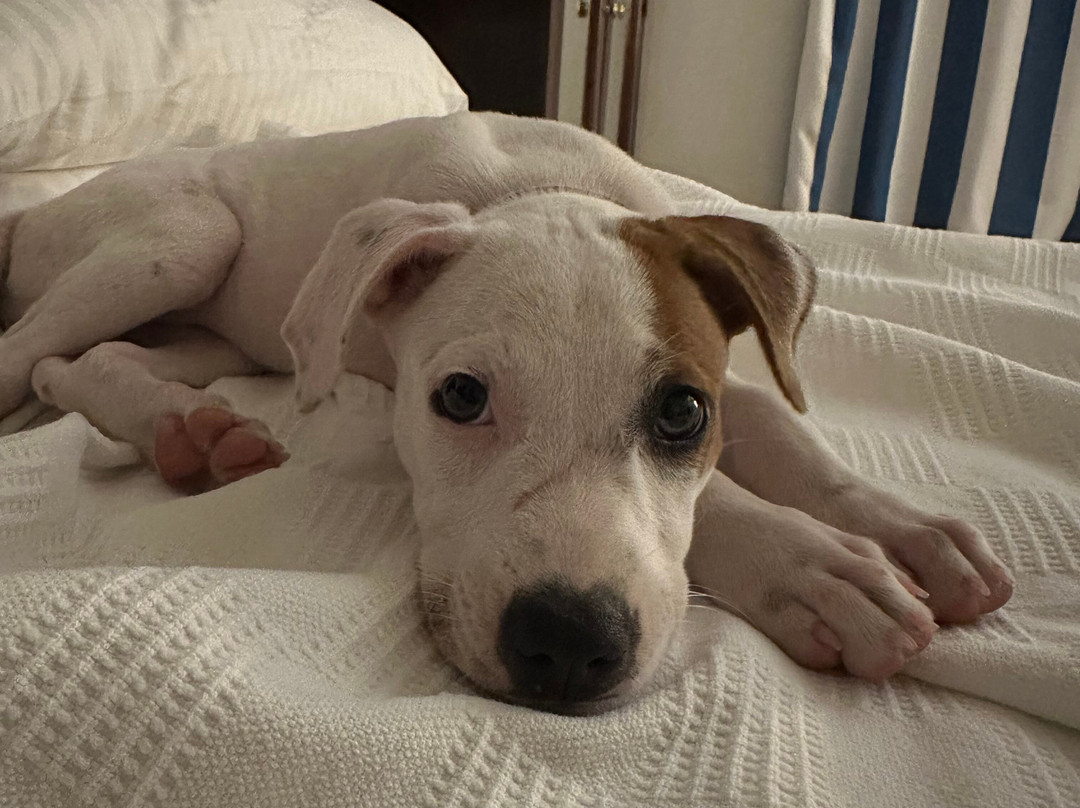 MycoMeditations Psilocybin-Assisted Retreats-瑰宝滩必去景点