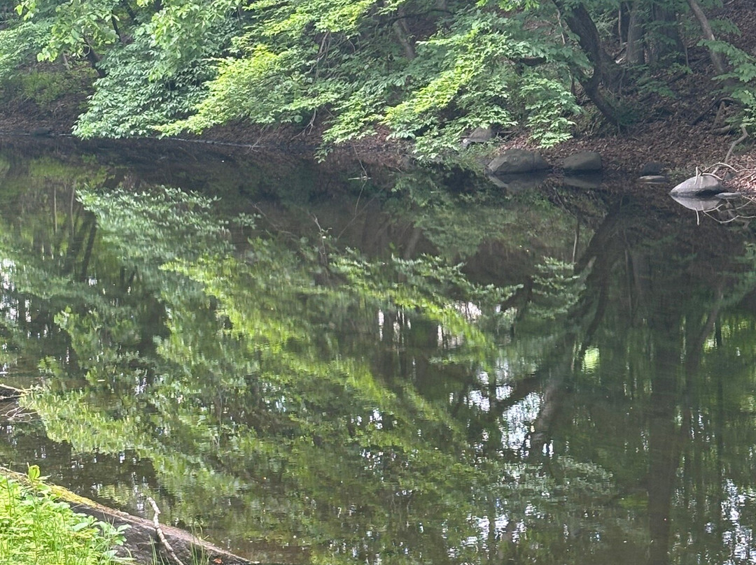 Feeder Canal Trail-Glens Falls必去景点
