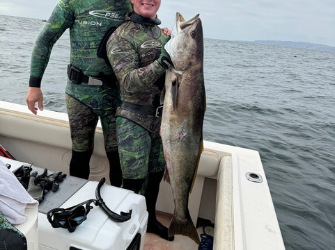 Catch Sportfishing-拉荷亚必去景点