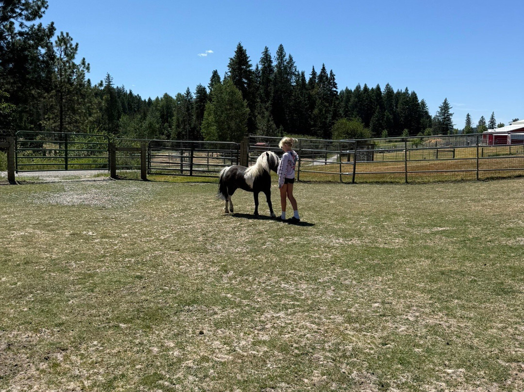 Seven Stars Alpaca Ranch Llc-科达伦必去景点