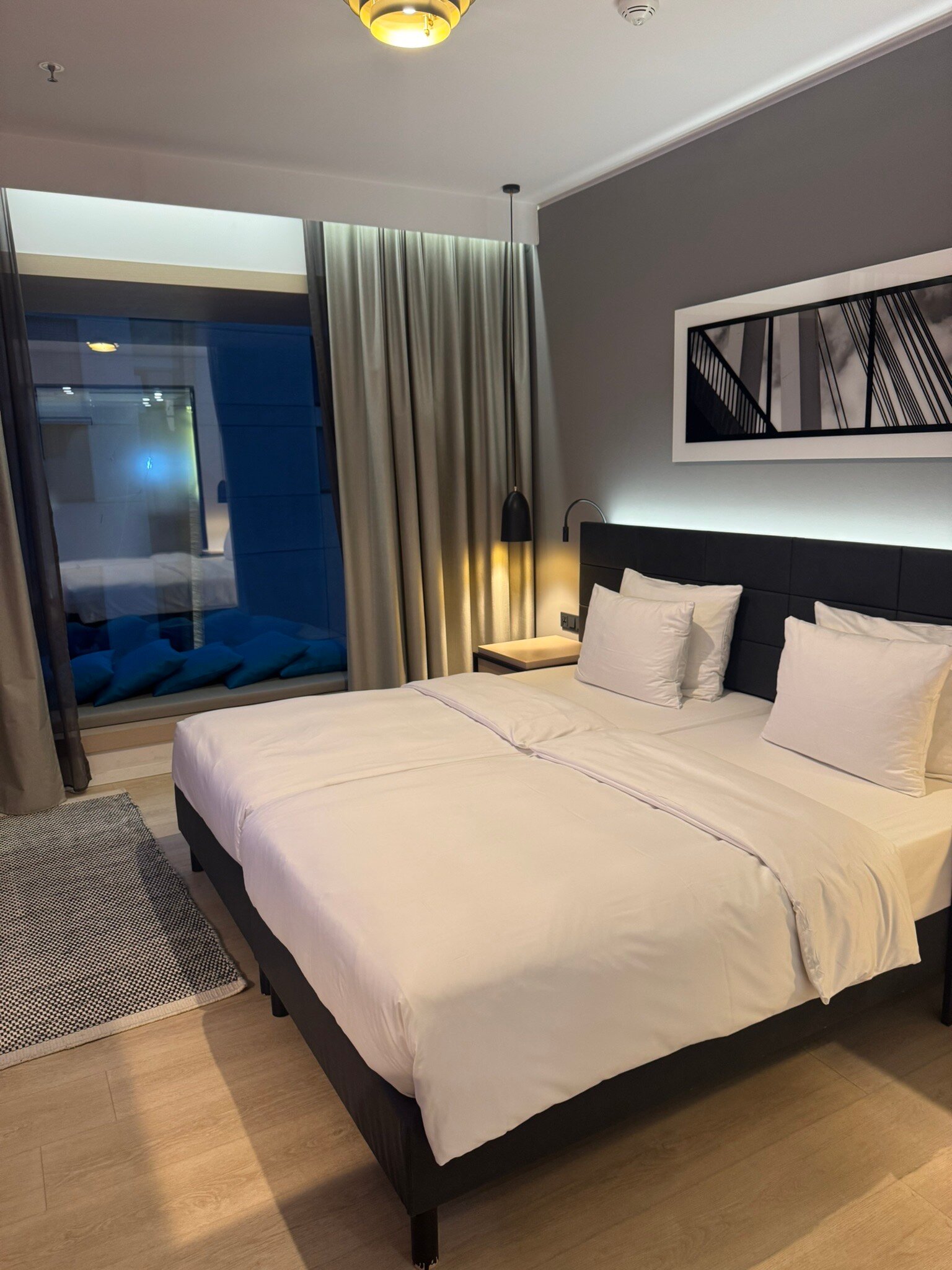 Radisson Blu Hotel, Mannheim-官方