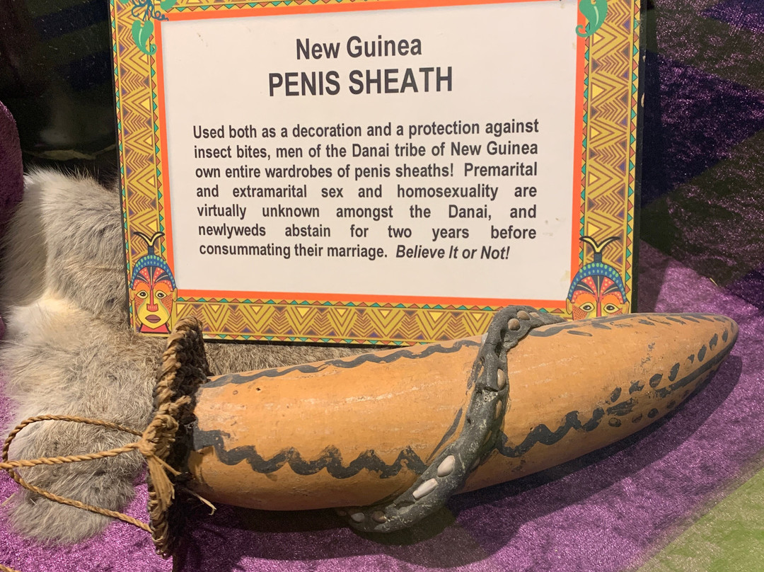 Ripley's Believe it or Not! Ocean City-大洋城必去景点