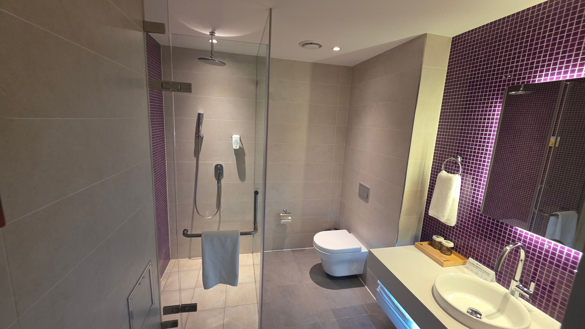 ibis Styles Ulaanbaatar Polaris Hotel-浴室