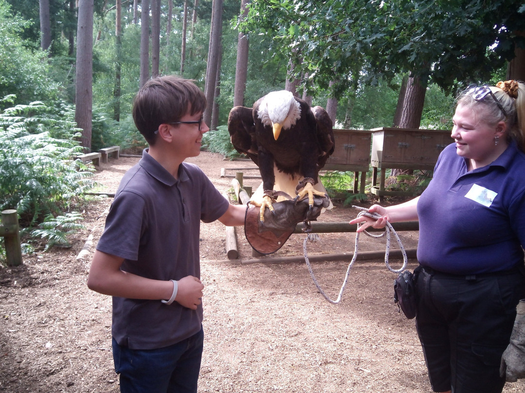 Center Parcs Woburn Forest主图