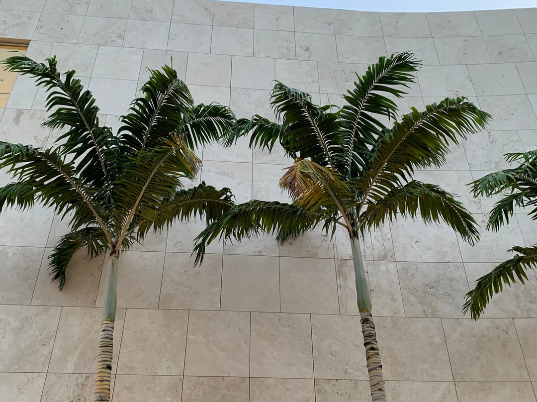 The Baker Museum-那不勒斯必去景点