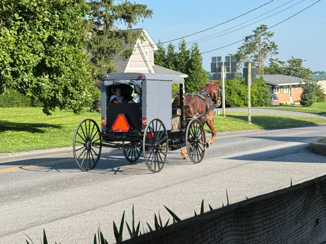 The Inn & Suites At Kitchen Kettle Village主图