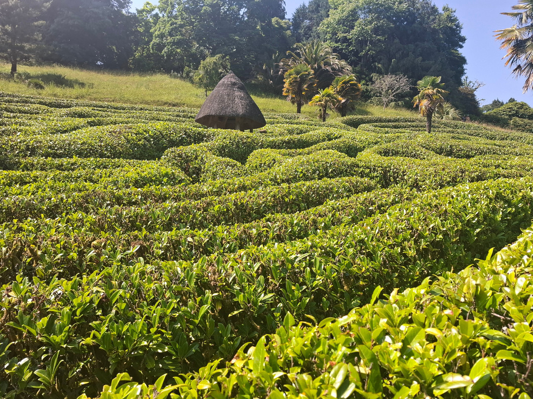 Glendurgan Garden-法尔茅斯必去景点