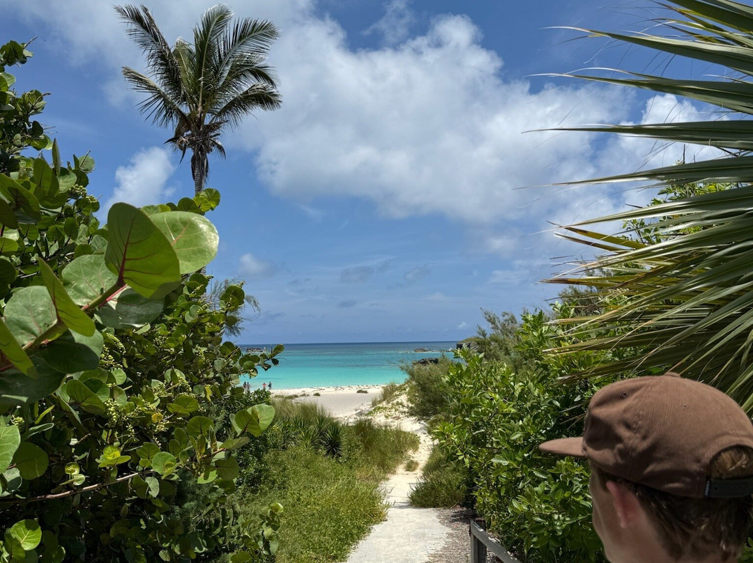 Cooper's Island Nature Reserve-百慕大必去景点