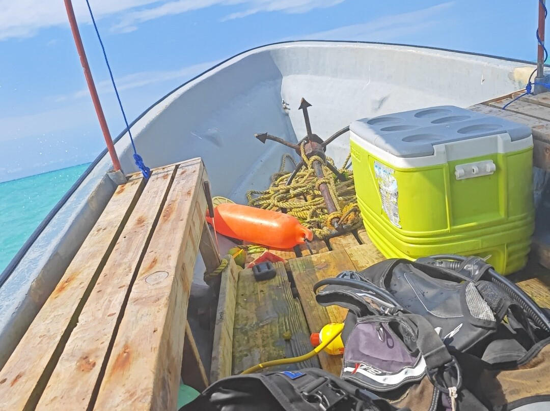 Fun Divers Zanzibar-孥归必去景点