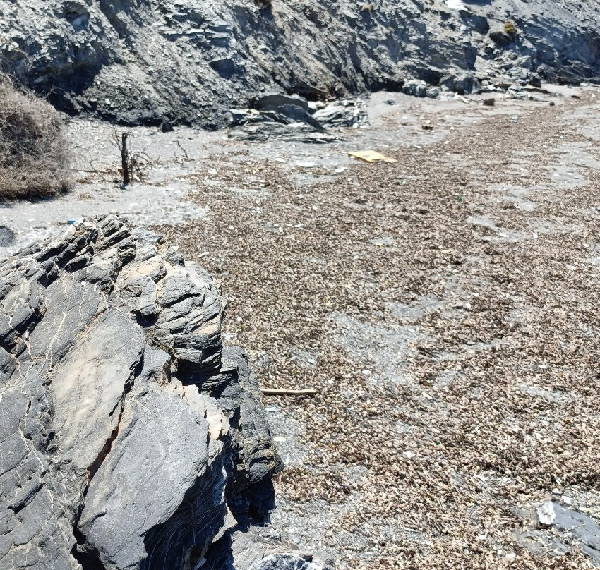 Megas Gialos Beach-Megas Gialos必去景点