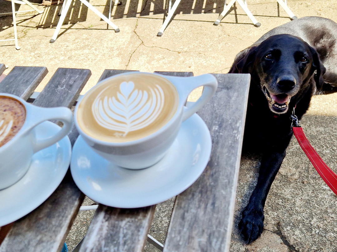 Lagom Coffee Co.