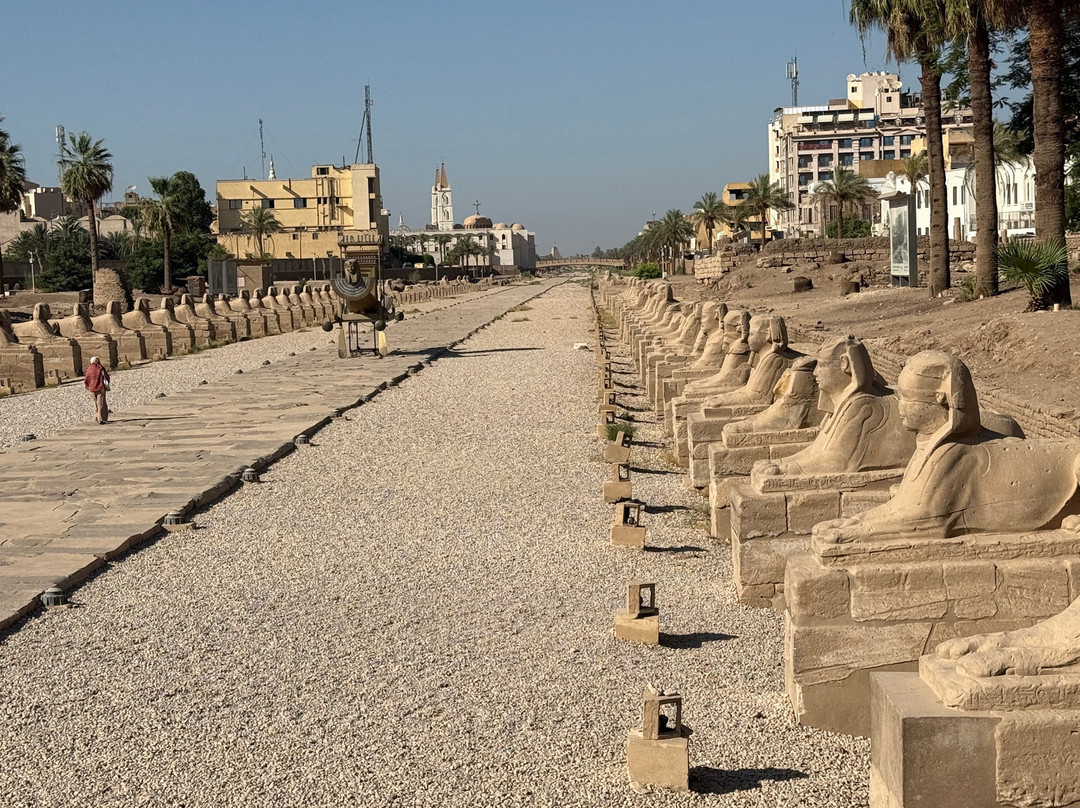 Avenue of Sphinxes-卢克索必去景点