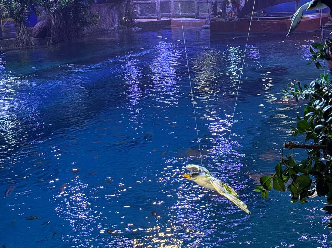 The National Aquarium Abu Dhabi-阿布扎比必去景点