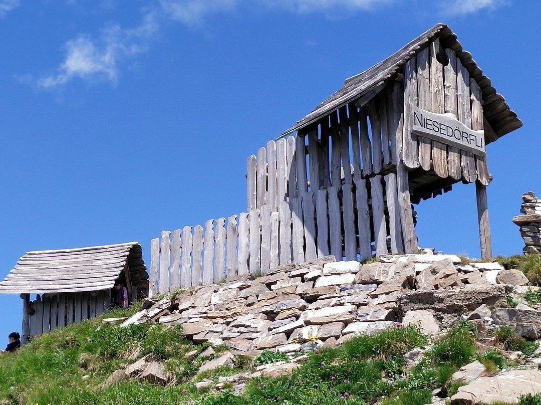 Berner Oberland Pass - 1 Ticket for the entire Bernese Oberland-因特拉肯必去景点
