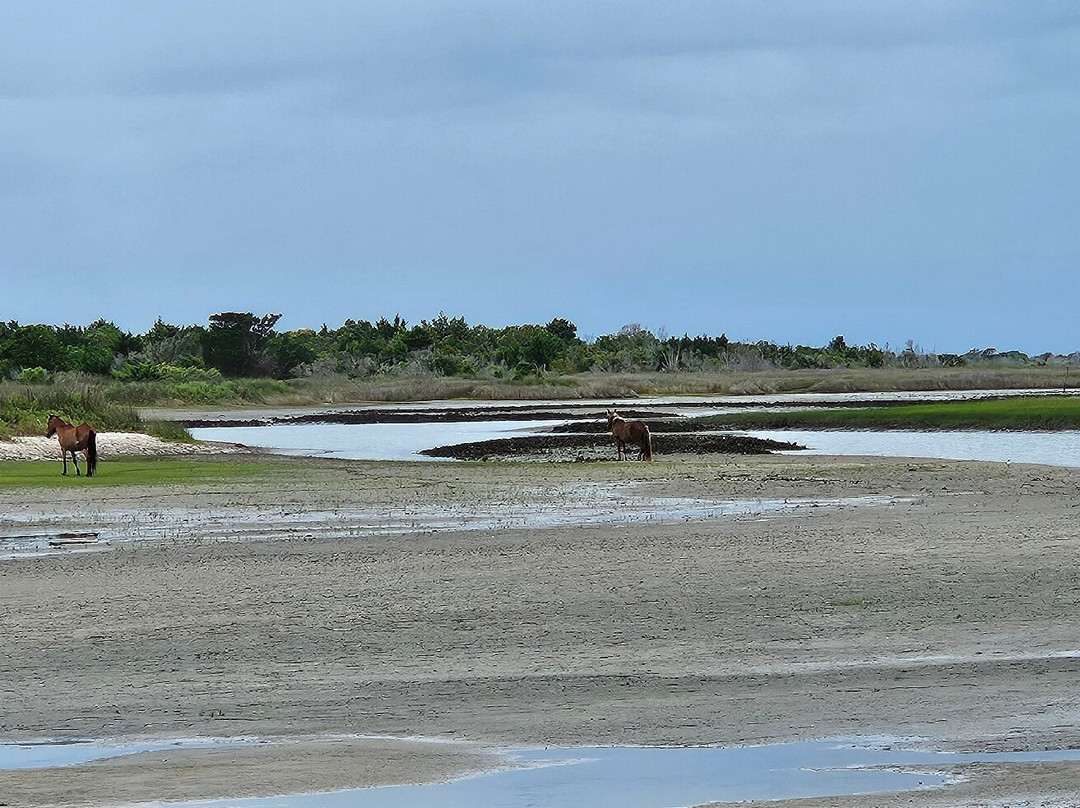 Shackleford Banks-Harkers Island必去景点