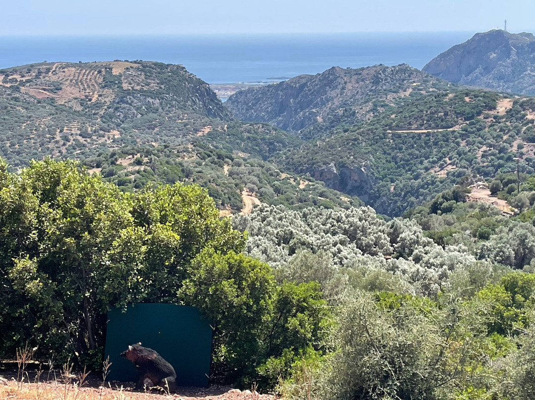 Parko Toxovolias Artemis-Anidri必去景点