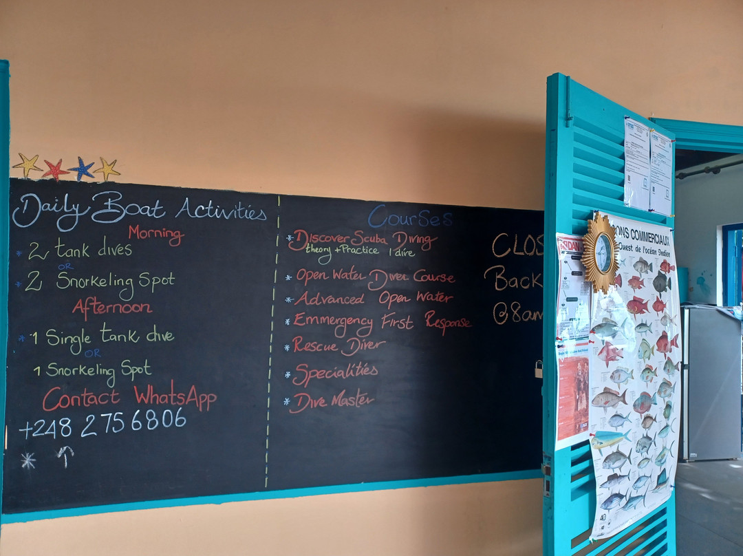 Dive Seychelles Underwater Centre-博瓦隆必去景点