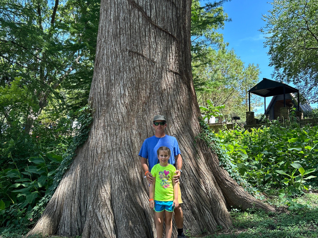 Krause Springs-Spicewood必去景点