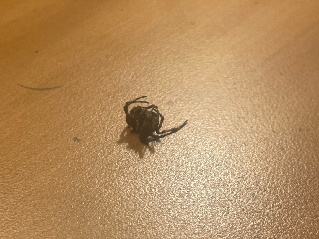 Green Granite Inn & Conference Center主图