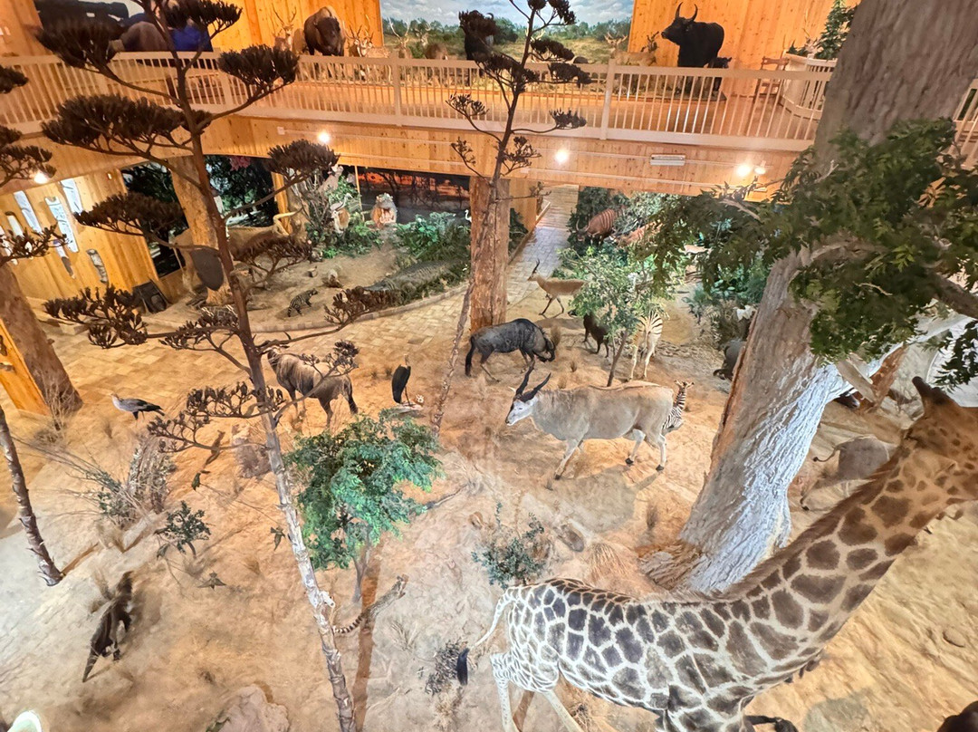 B-Square Ranch-法明顿必去景点